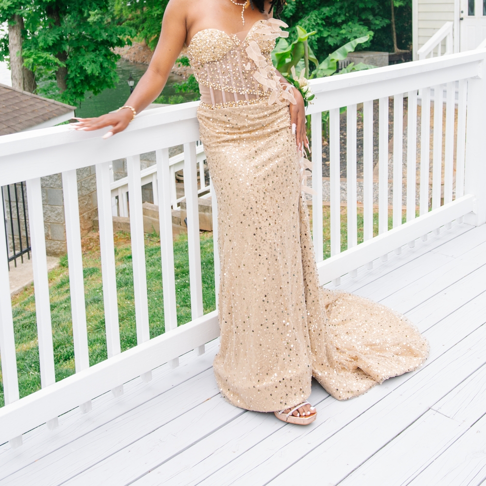 Elegant Sequin Gown